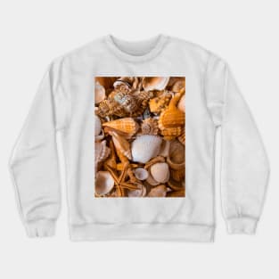 Summer Seashells Caribbean Sea Travel Relax Beach Yoga Crewneck Sweatshirt